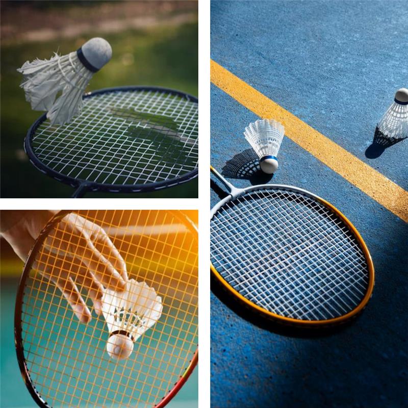 Badminton Image